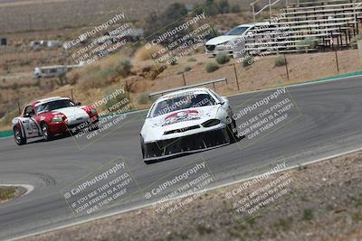 media/May-03-2025-Lucky Dog Racing (Sat) [[206de64b9d]]/Turn 4 B (1150am-130pm)/